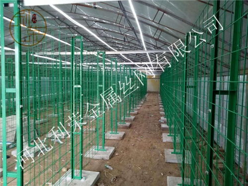 凌海立体出菇网架——牛氏利荣的品牌匠心与技术突破